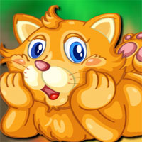 Free online html5 games - Avm Playful Cat Escape game 