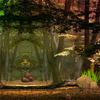 Free online html5 games - Zooo Bird Escape game 