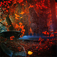 Free online html5 games - Mirchi Games  Red Autumn Forest game 