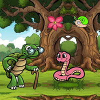 Free online html5 escape games - Old Tortoise Reached Ocean