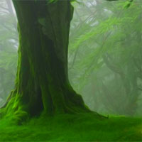 Free online html5 games - Avm Forest Wooden House Escape game 