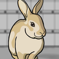 Free online html5 games - G2J Release the Rabbit from Cage game 