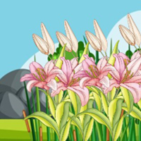 G2M Easter Bunny Escape