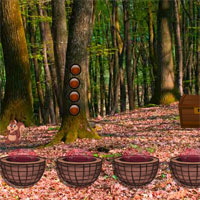 Free online html5 games - Avm Unlock The Lion game 