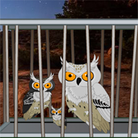 Free online html5 games - Desert Great Basin Owl family Rescue game - WowEscape 