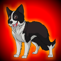 Free online html5 games - G2J Purebred Border Collie Escape game 