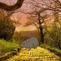 Free online html5 games -  Abandoned Rat Forest Escape HTML5 game - WowEscape 