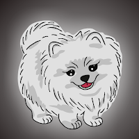 Free online html5 escape games - FG Cute Pomeranian Dog Escape