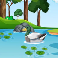 Free online html5 escape games - G2M White Duck Pair Rescue