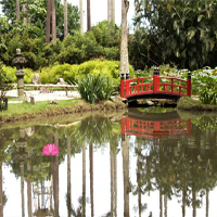 Free online html5 games - Escape From Rio De Janeiro Botanical Garden game 