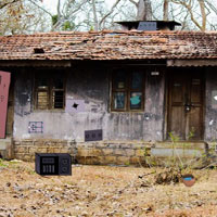 Free online html5 games - GFG Desolate Forest House Escape game 