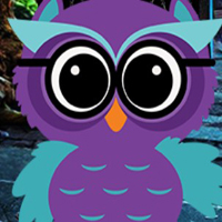 Free online html5 games - G4K Ruler Owl Escape game 