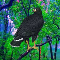Free online html5 games - Black Hawk Escape HTML5 game 