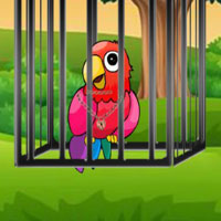 Free online html5 games - G2M Parrot Cage Break game 