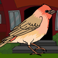 Free online html5 games - G2J House Finch Escape from Wood Cage game 