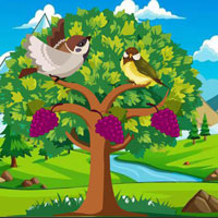 Free online html5 games - BEG Help The Crying Onion game 