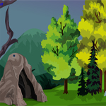 Free online html5 games - Pet bird Escape game 
