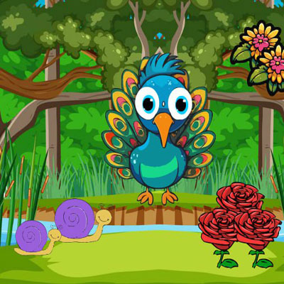 Free online html5 escape games - G2R Infant Peacock Searching Mom