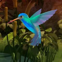 Free online html5 games - Doctor Bird Forest Escape HTML5 game 