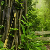 Free online html5 games - FirstEscapeGames Asian Jungle game 