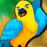 Free online html5 games -  Avm Beautiful Bird Escape game 