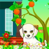 Free online html5 games - Avm Chubby Dog Escape game 