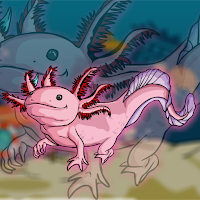 Free online html5 games - G2J Axolotl Rescue game 