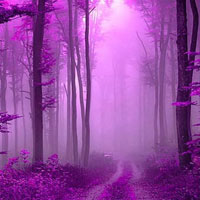 Free online html5 games - Soothink Purple Forest Escape HTML5 game 