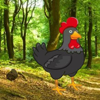 Free online html5 games - Find The Black Rooster Pair HTML5 game 