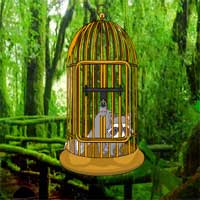 Free online html5 games - Raccoon Forest MirchiGames game 