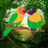 Free online html5 games - Romantic Parrots Escape game 