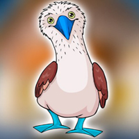 Free online html5 games - Rescue the Locked Booby Bird game 