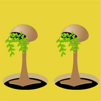 Free online html5 games - Big Peaceful Autumn forest game 