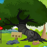 Free online html5 games - Victorious Kid Escape Game game 