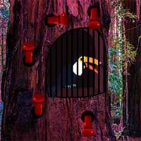 Free online html5 games - Zooo Toucan Escape ZoooGames game 