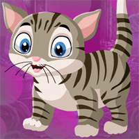 Free online html5 games - Games4King Lovely Cat Escape game 
