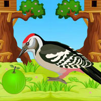 Free online html5 games - Escape From Parrot Jungle game 