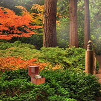 Free online html5 games - Botanical Garden game 