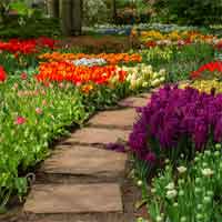 Free online html5 games - Flower Garden 2 HTMLGames game 