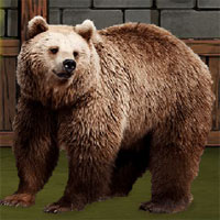 Free online html5 games - The Grizzly Bear Rescue game 