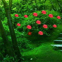 Free online html5 games - Gir Forest Escape game 