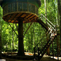 Free online html5 games - Mushroom Tree House Forest Escape game 