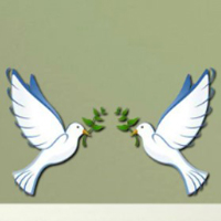 Free online html5 games - 8b Find Seagull Bird game 