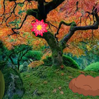 Free online html5 games - Deciduous Garden Escape game 