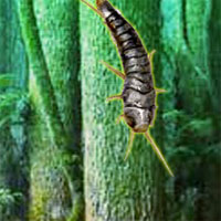 Free online html5 games -  Silverfish Forest Escape game 