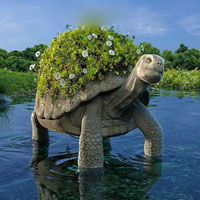 Free online html5 games - Mysterious Tortoise Land Escape HTML5 game 