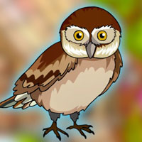 Free online html5 games - G2J Glaucidium Owl Escape from Cage game 