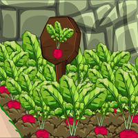 Free online html5 games - Adventure Of Arkansas ZooZooGames game 