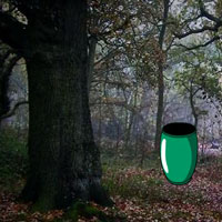Free online html5 games - Escape Game Save The Grebe game 