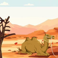 Free online html5 escape games - Desert Dunes Camel Escape